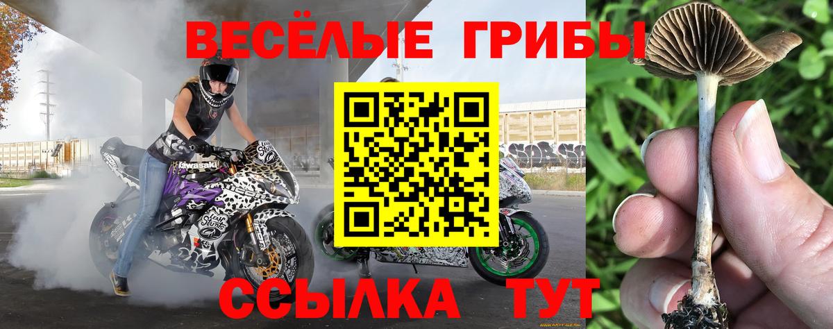 Мирный  Псилоцибиновые грибы ЛСД  Вход с VPN 
